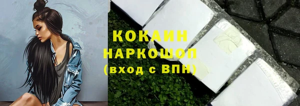 spice Бородино