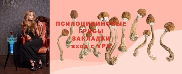 винт Бугульма