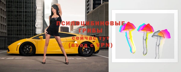 spice Бородино