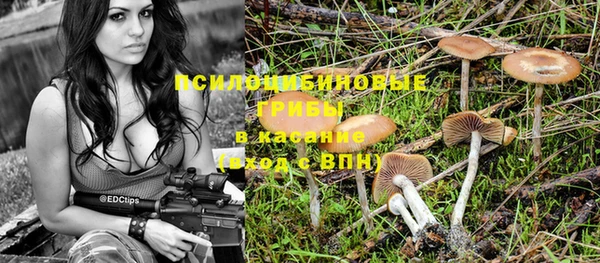 винт Бугульма