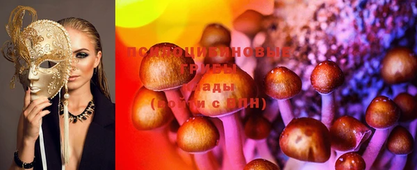 spice Бородино