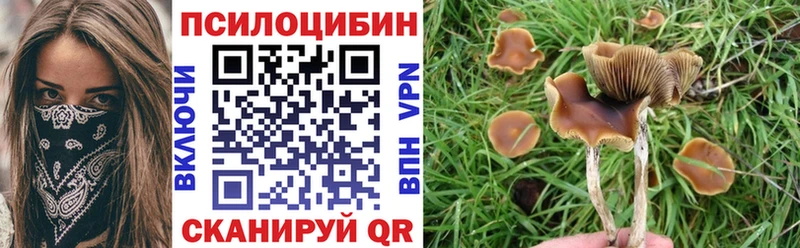 Псилоцибиновые грибы MAGIC MUSHROOMS  Джанкой 